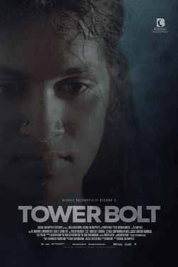 Tower Bolt