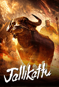 Jallikattu