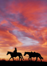 Western